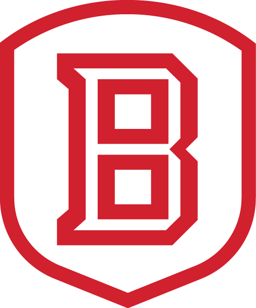 Bradley Braves 2012-Pres Secondary Logo v2 iron on transfers for T-shirts